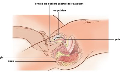 Comment Faire Éjaculer Une Femme