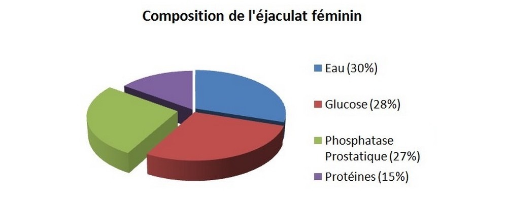 Les différents composants du squirt