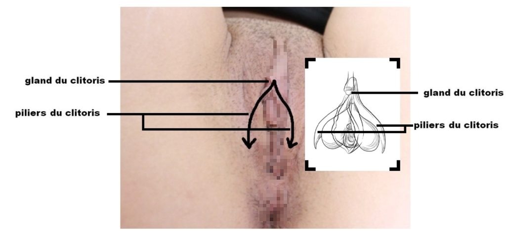 Votre clitoris est parfaitement normal pour avoir des orgasmes