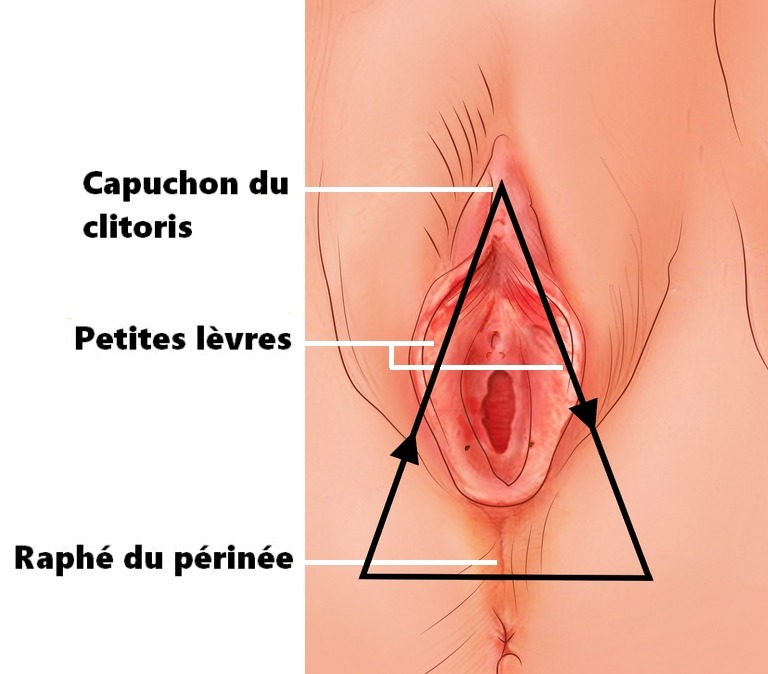 Une technique (triangle) qui stimule la vulve féminine