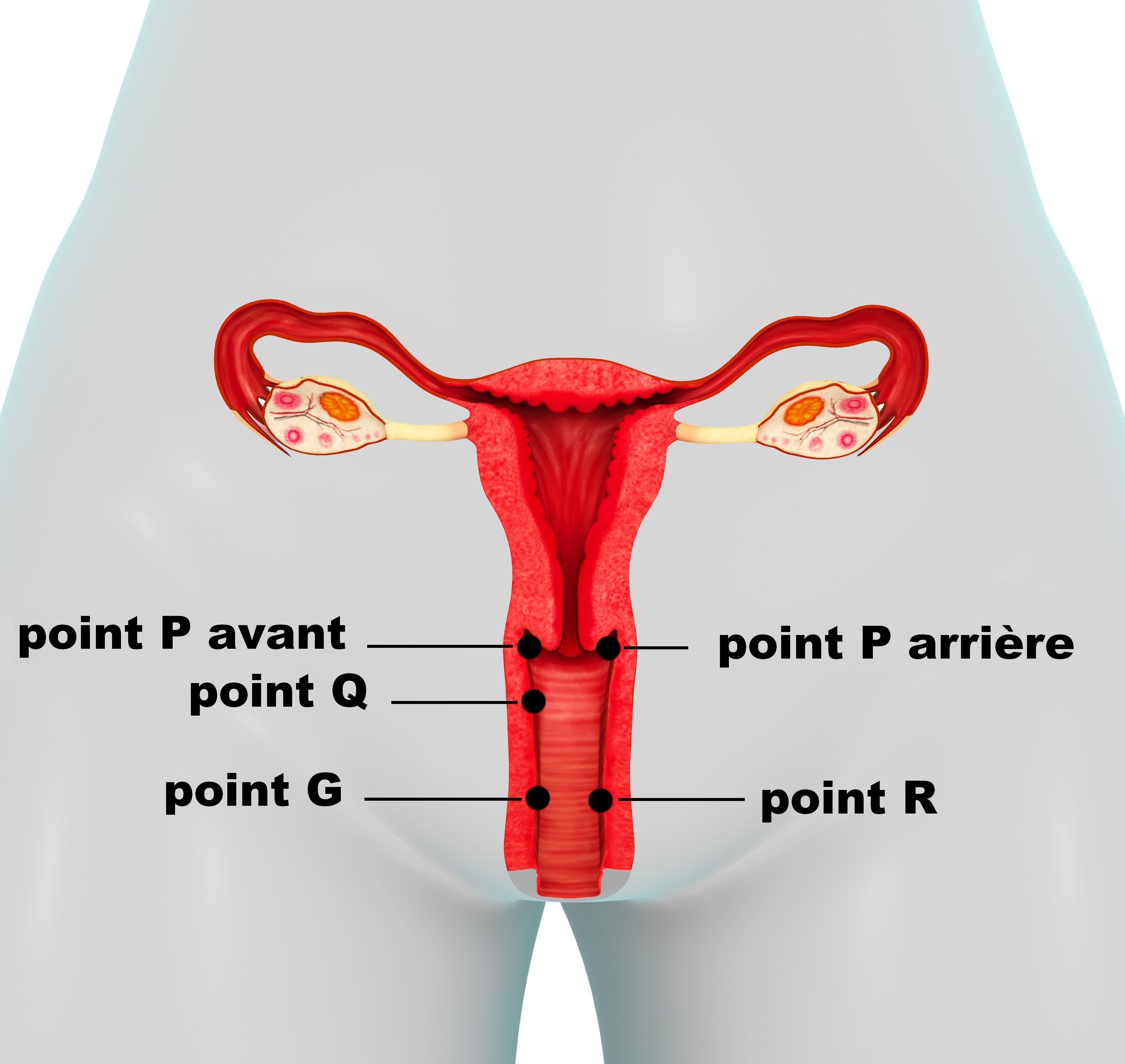 5 zones du vagin à ne pas rater