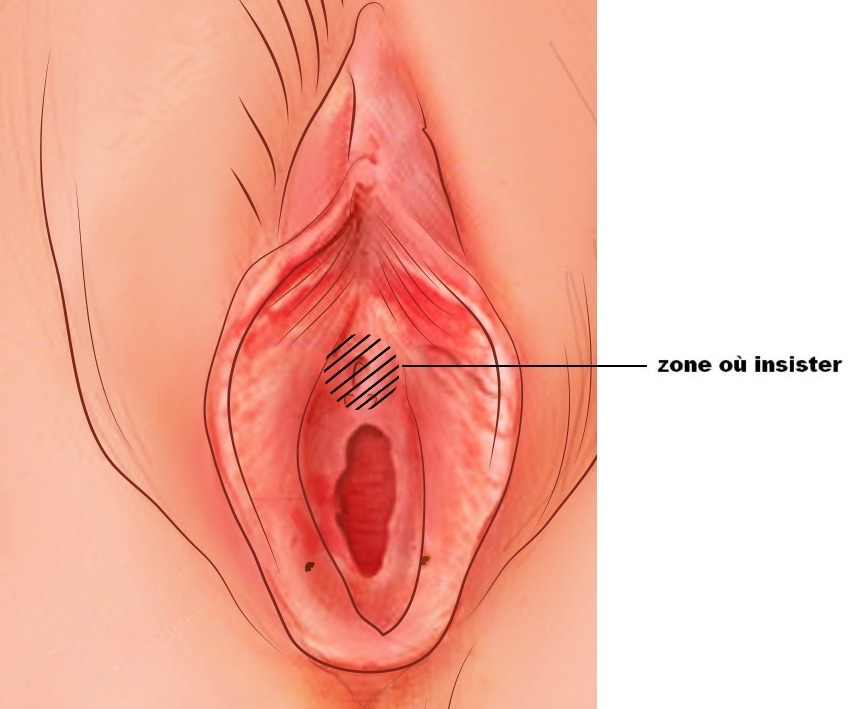 Le point U : la zone à stimuler pour faire jouir ! (technique)