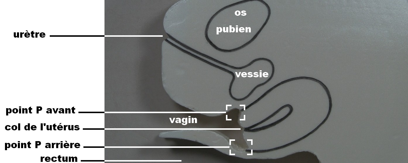 La position du deep spot avant et arrière