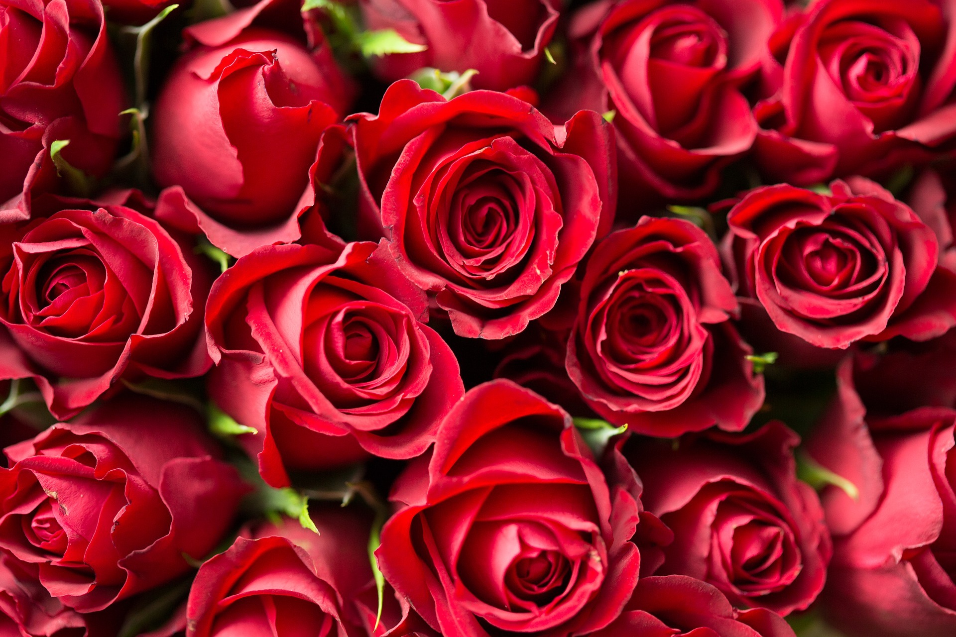 Des idées coquines pour la Saint-Valentin