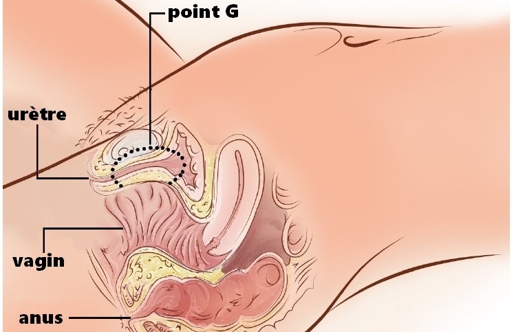 Où est le point G ? Je vous explique tout !