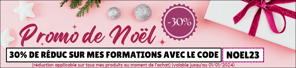 La promo de Noël 2023 !