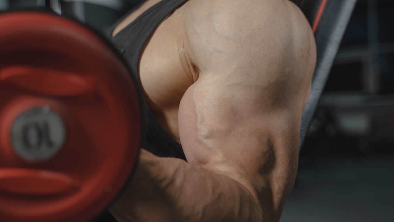 Masturbation et perte de masse musculaire