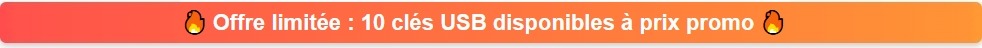 20 clés USB à prix canon