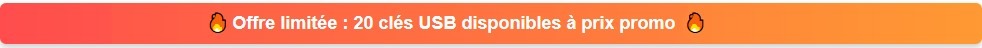 20 clés USB à prix canon