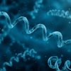 Tout savoir sur la syphilis