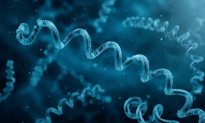 Tout savoir sur la syphilis